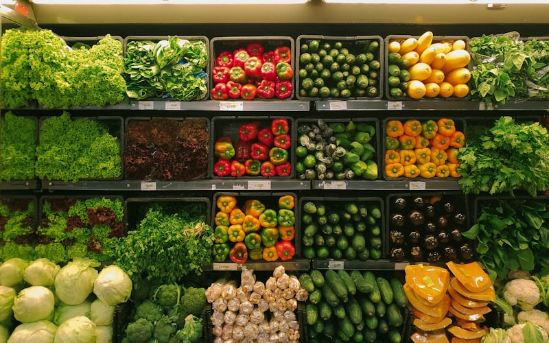 Bio-Qualität für kindgerechte Ernährung