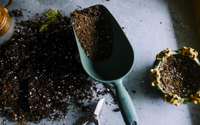 Biogas-Verwertung von Lebensmittelresten